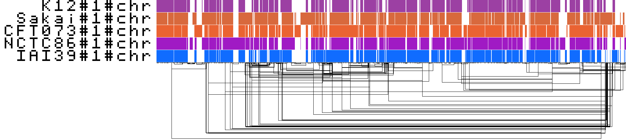 The same five-strain graph drawn by odgi viz, one row per strain. The axis is graph node order rather than K12 coordinates, so nothing lines up with a gene or a chromosome position.
