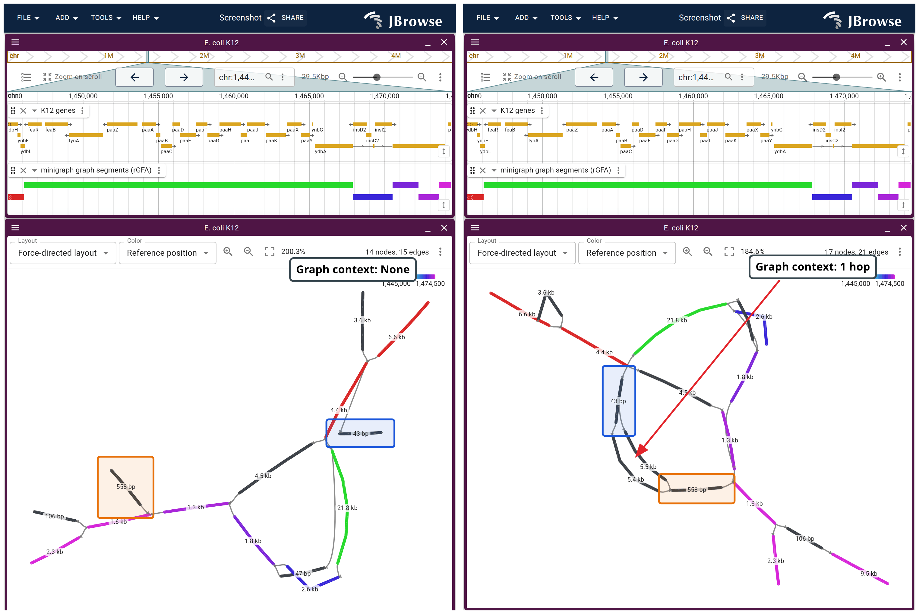 The paa island cut from the same segments track twice, each under the linear view it was made from. Left, at Graph context None, the two boxed nodes end in mid-air. Right, at 1 hop, the red arrow marks the interior the extra queries found, closing them into a bubble.