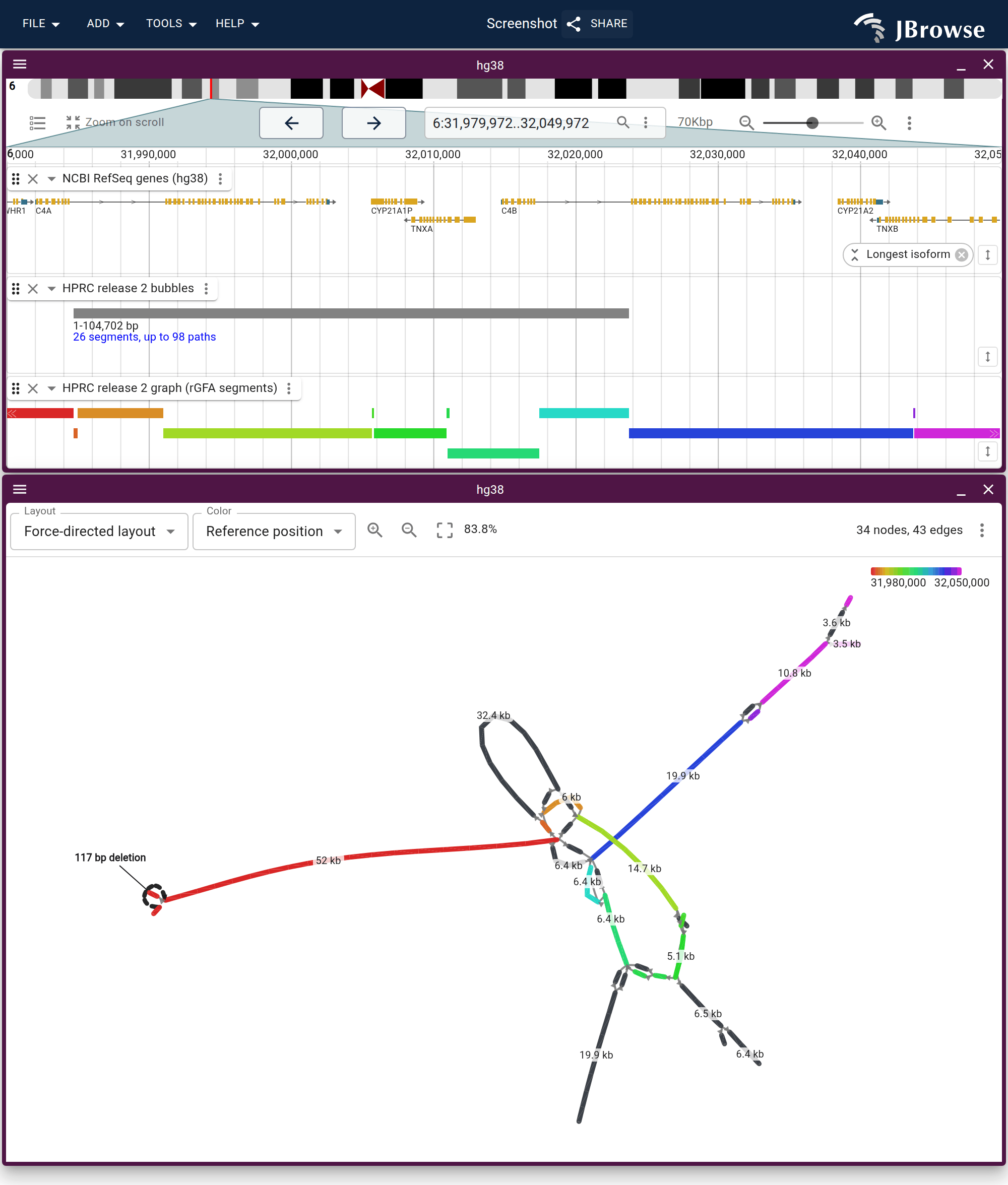The C4 locus as a force-directed graph, under three lanes of the same window. The bubbles track reports a single bubble spanning the locus, and the graph below is what it contains.