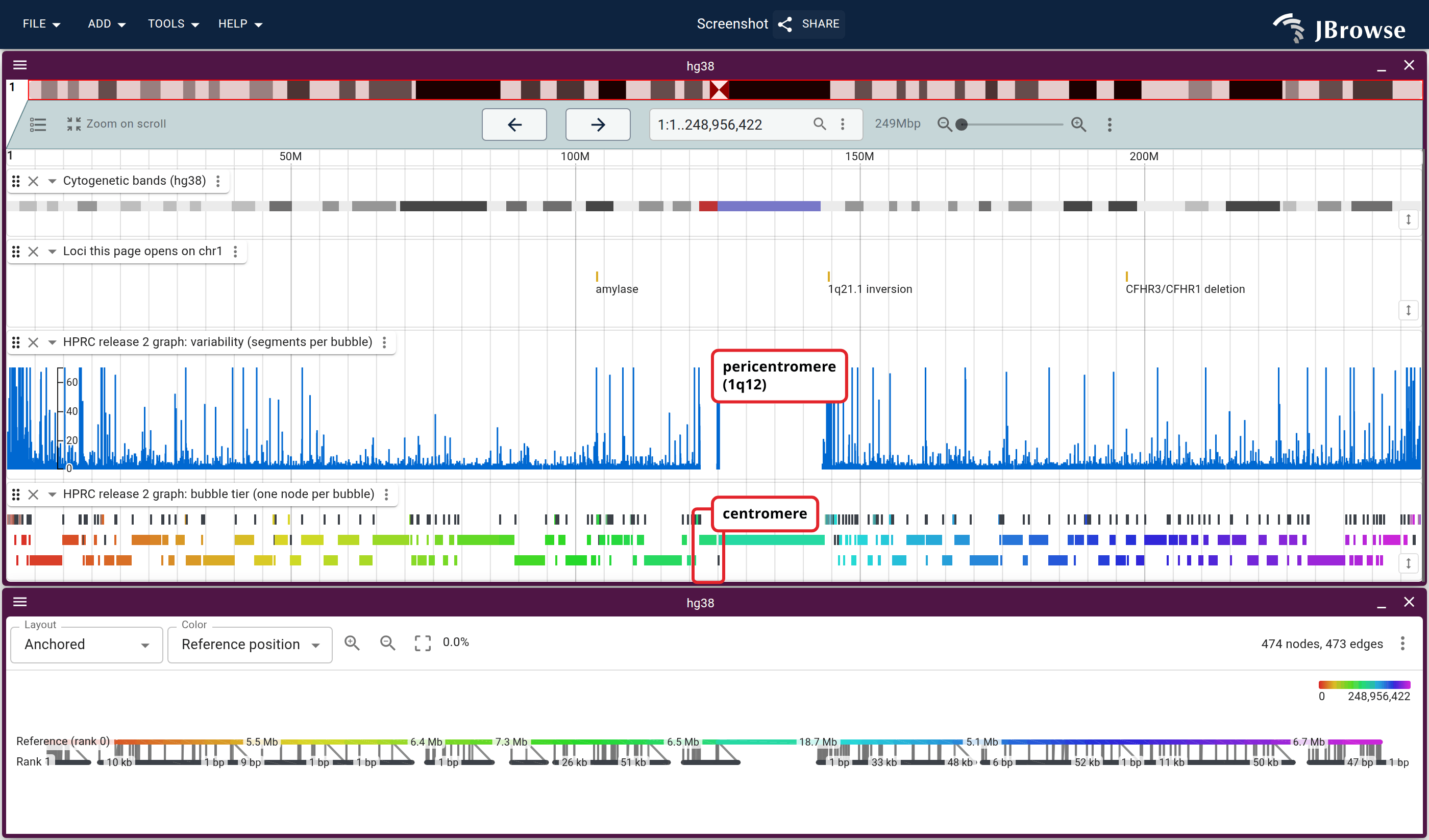All 249 Mb of GRCh38 chr1 with the cytogenetic bands on the same axis, then the three chr1 loci this page opens, then three lanes off two files: the bubble file as a curve of segments per bubble, the same bubbles as the tier's segments lane, and the tier as a graph. The blank column is 1q12, where nothing aligns.
