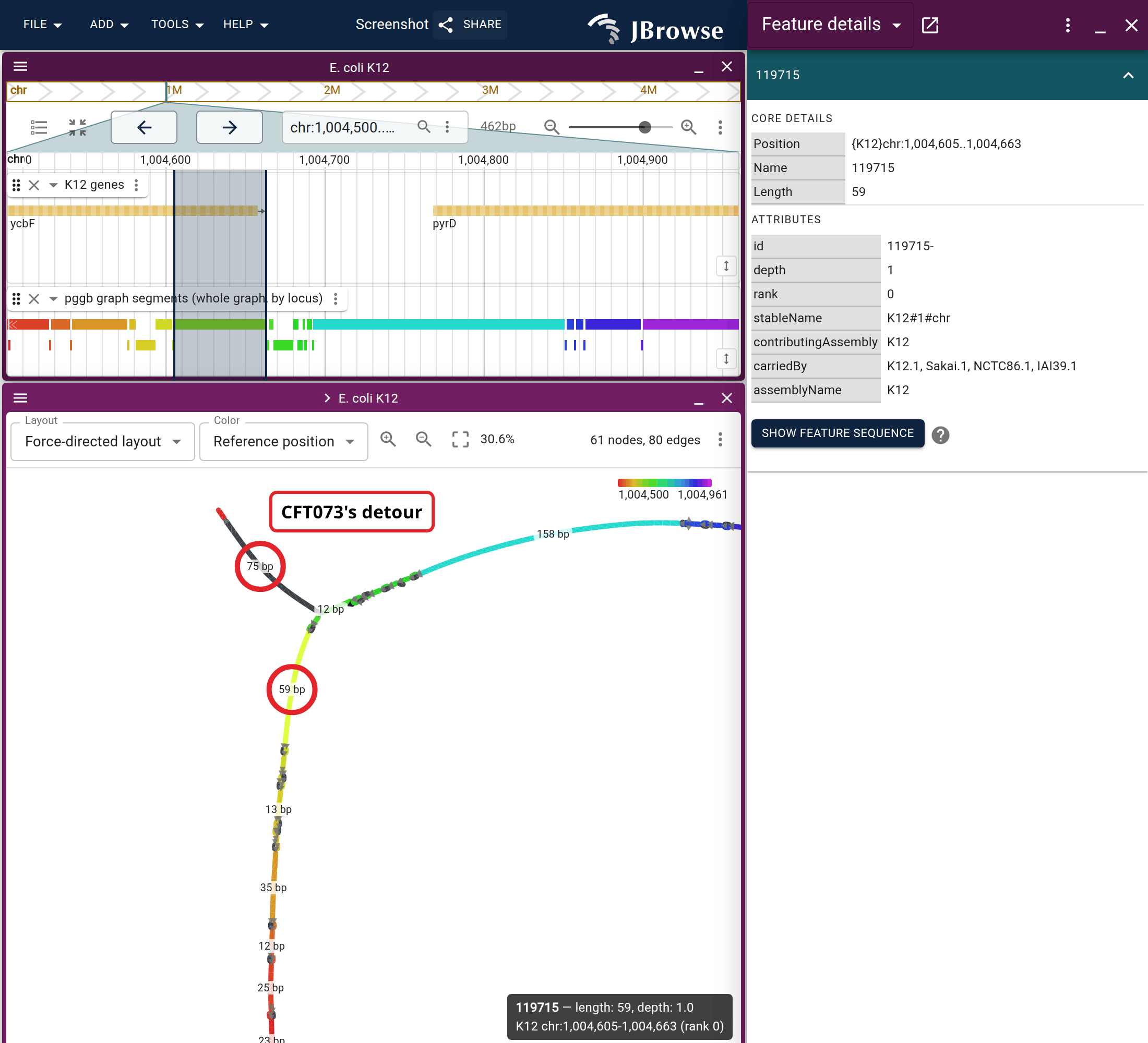 A backbone segment clicked in the graph. carriedBy names the four strains whose paths walk it; contributingAssembly says only K12, which is all an rGFA could report.