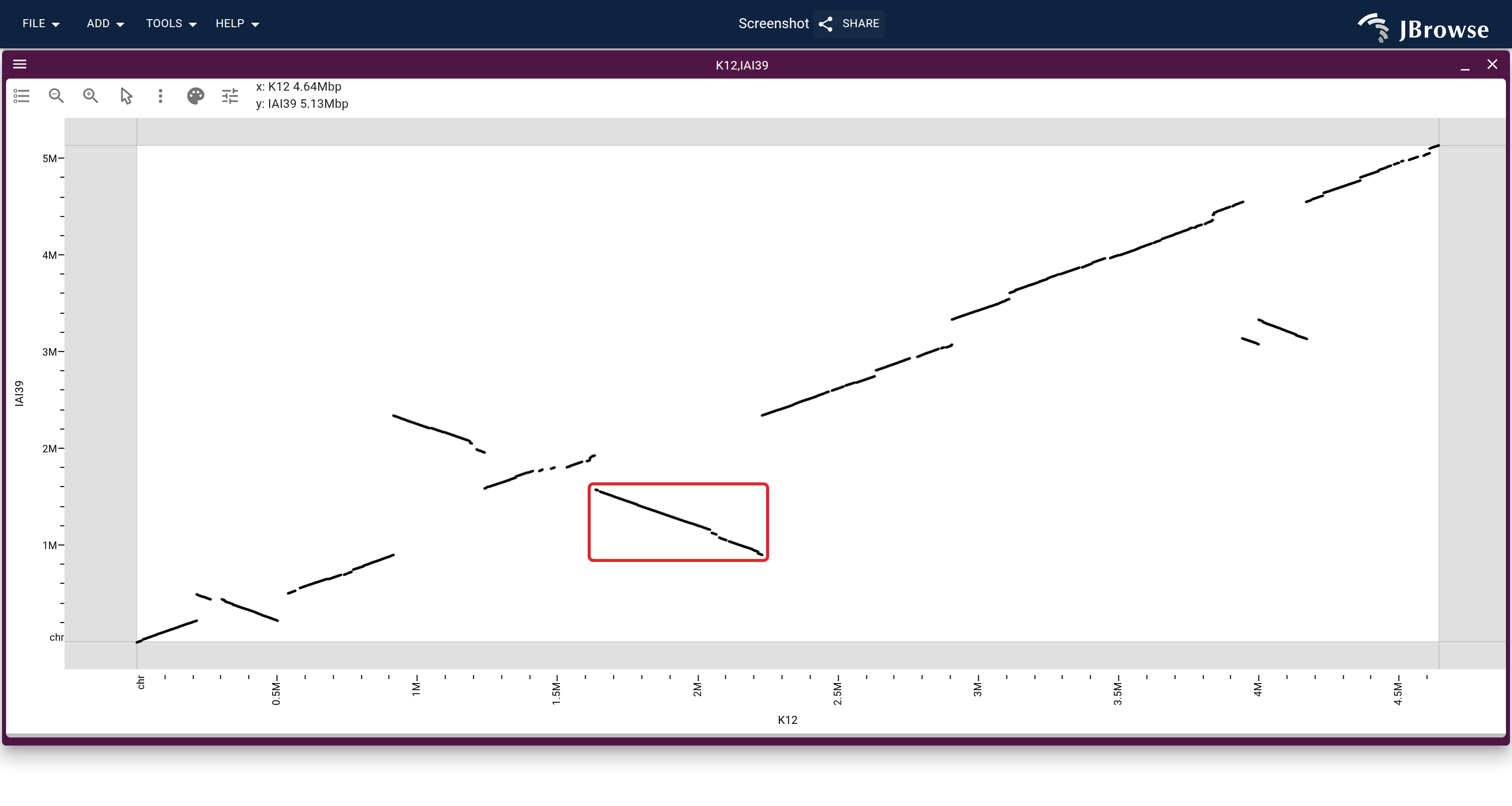 The untangle projection as a dotplot, K12 against IAI39. The descending segments are inversions, and the boxed one is boxed again in the per-strain figure below.