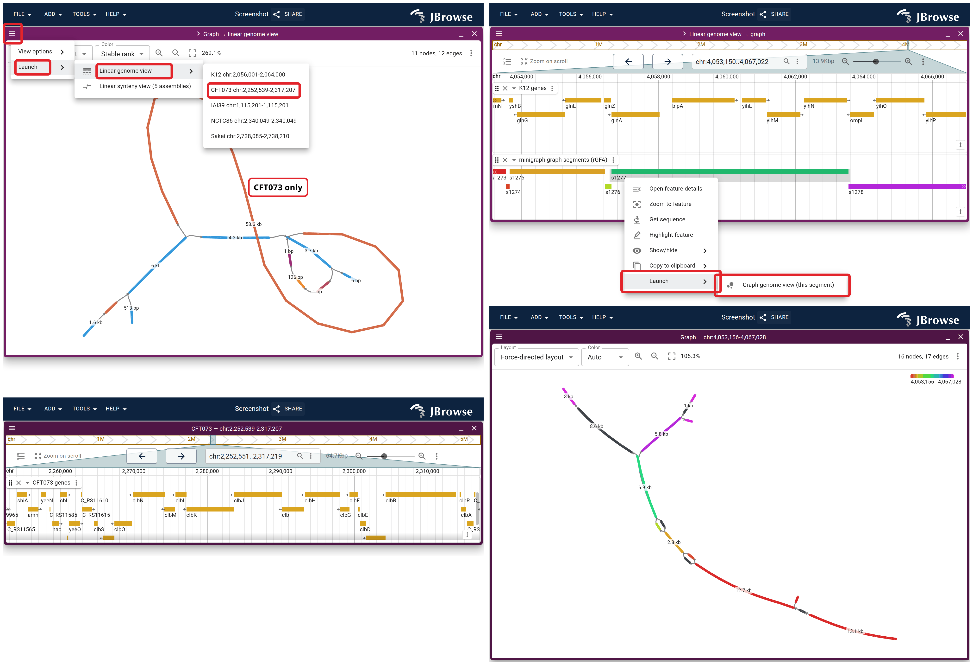 The round trip between the two views. Left: the graph at K12's tRNA cluster with the CFT073 entry boxed, above the view that entry launches. Right: a right-click on segment s1277 in a linear view, above the subgraph it cuts.