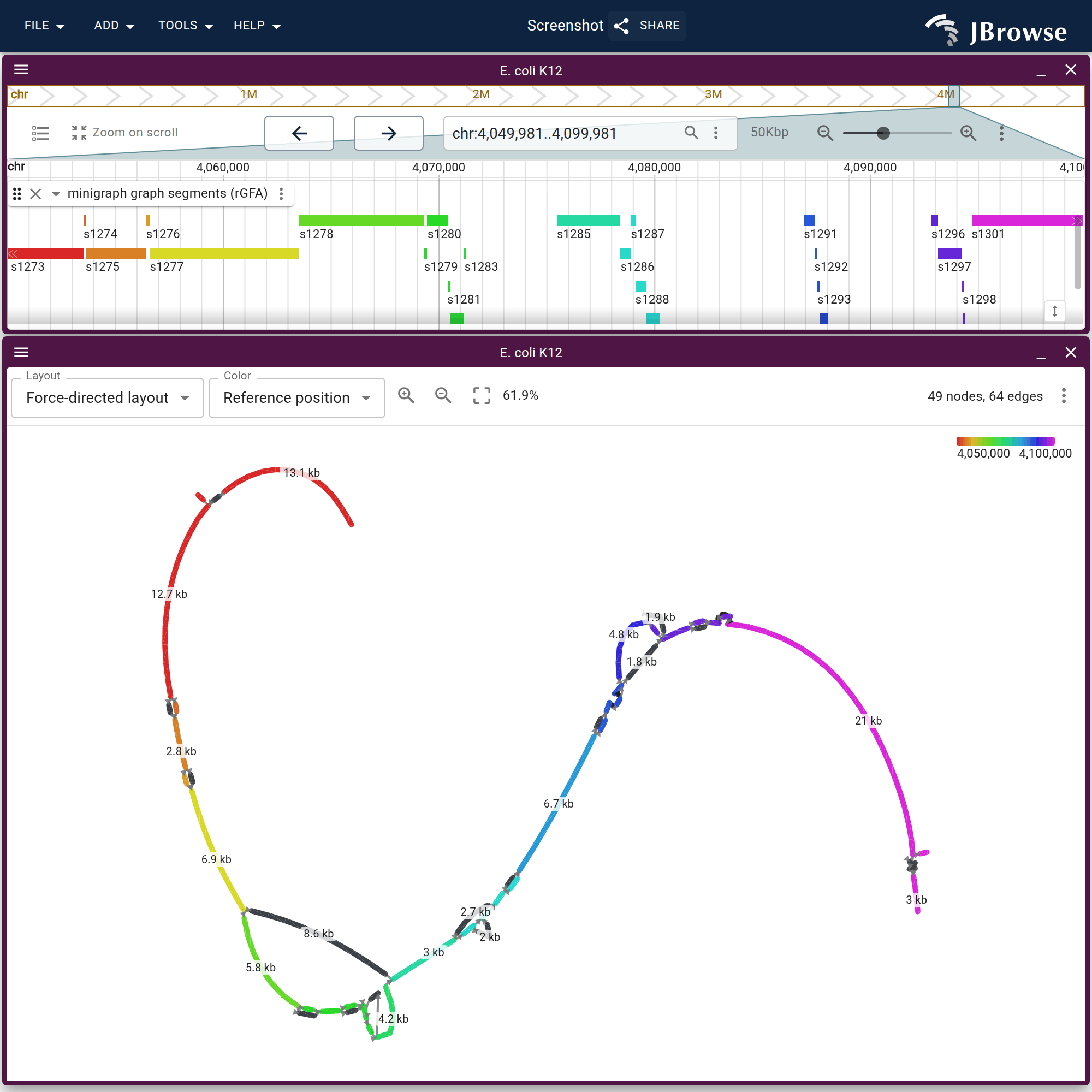 50 kb of K12 launched as a graph. Both panels read the same two tabix indexes and run the same reference-position ramp, so a block above and its node below share a hue. The charcoal nodes are the alternate alleles, which have no K12 coordinates and so nothing in the linear track either.