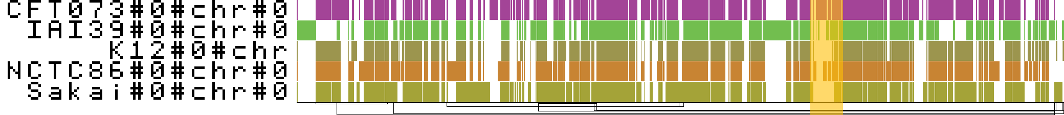 The five-strain Minigraph-Cactus graph drawn by odgi viz, one row per strain. The horizontal axis is graph node order, so nothing lines up with a gene or coordinate. The gold band marks the locus carried over to the figure below.