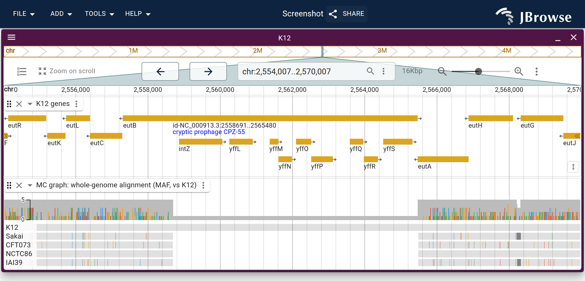 The Minigraph-Cactus HAL projected onto K12 as a MAF: the coverage band on top, then one row per strain, colored where each differs from K12. The four non-K12 rows stop at the edges of the cryptic prophage CPZ-55, which K12 alone carries.