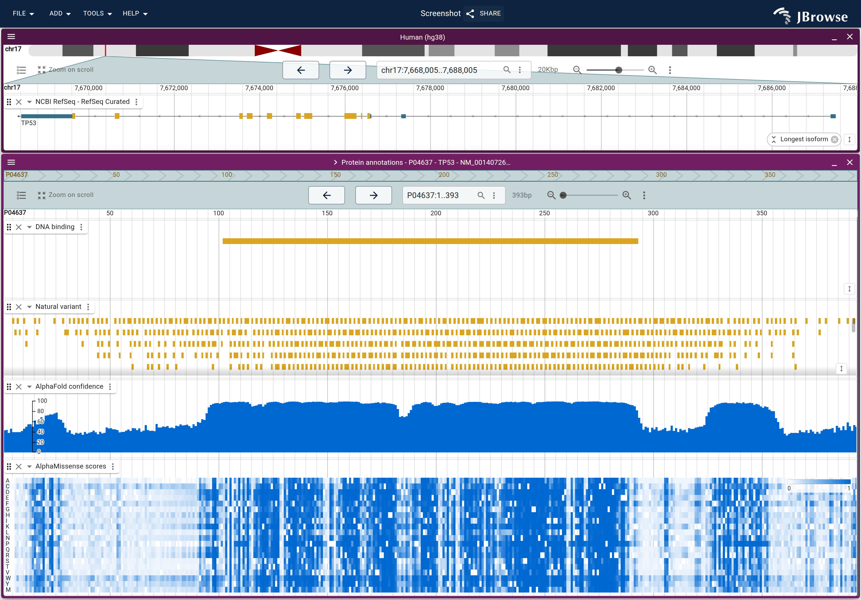 TP53 on hg38 above the 1D protein view its gene menu launched, with four of the session tracks turned on: the DNA binding call, UniProt natural variants, AlphaFold pLDDT and AlphaMissense substitution scores, all in residue coordinates. Confidence and variant density both fall away over the terminal tails.