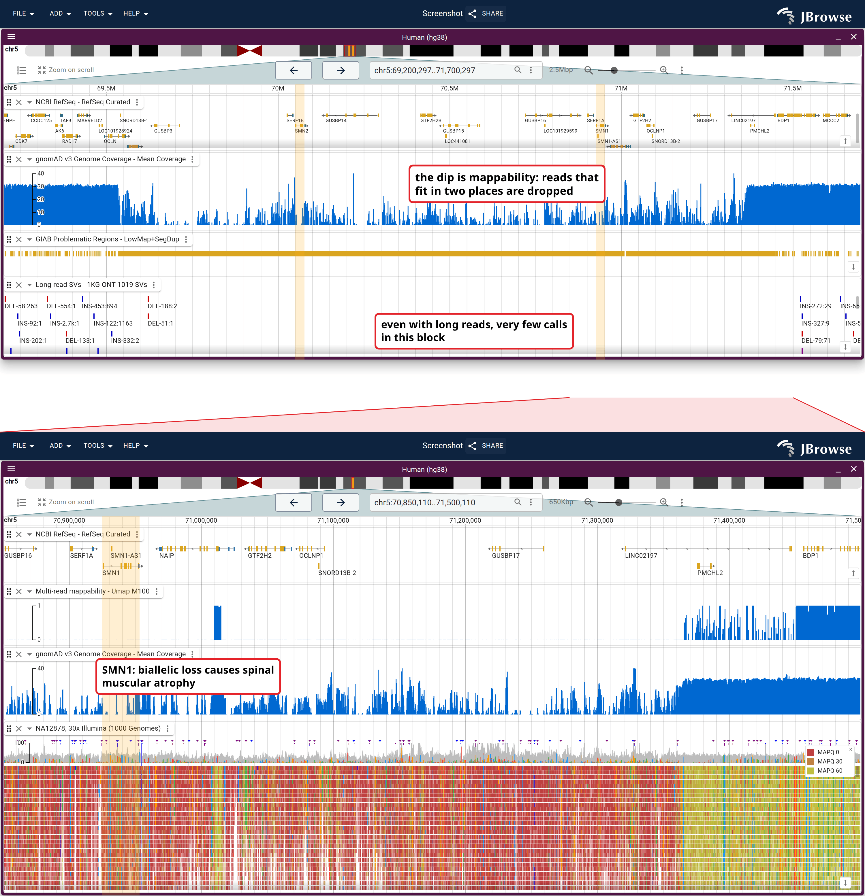 Two scales of the same place. Top, a wide span of chr5 with SMN2 and SMN1 banded: RefSeq genes, gnomAD mean coverage, GIAB's low-mappability and segmental-duplication regions, and the 1000 Genomes long-read SV callset. Bottom, the span the wedge marks, with Umap k100 mappability and NA12878 reads colored by mapping quality.