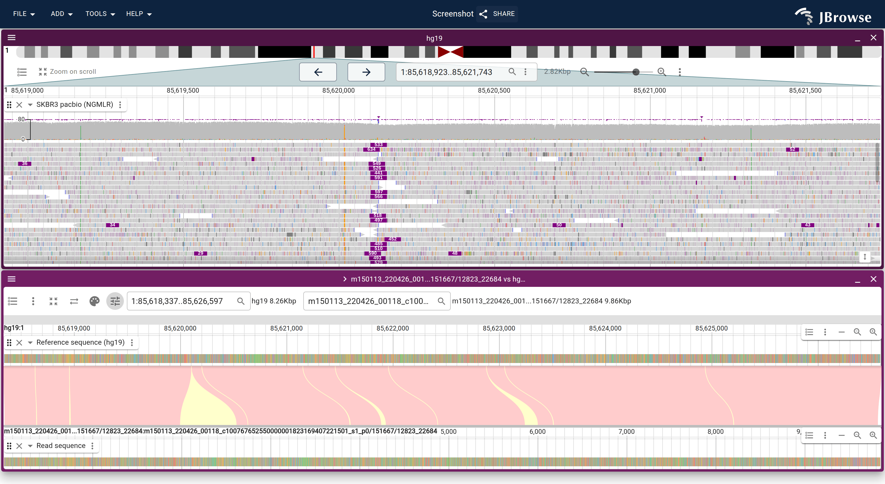 'Linear read vs ref' for a SKBR3 PacBio read spanning several insertions. The ordinary pileup on top, and below it the read drawn against the reference, where each gap in the diagonal is inserted sequence absent from the reference.