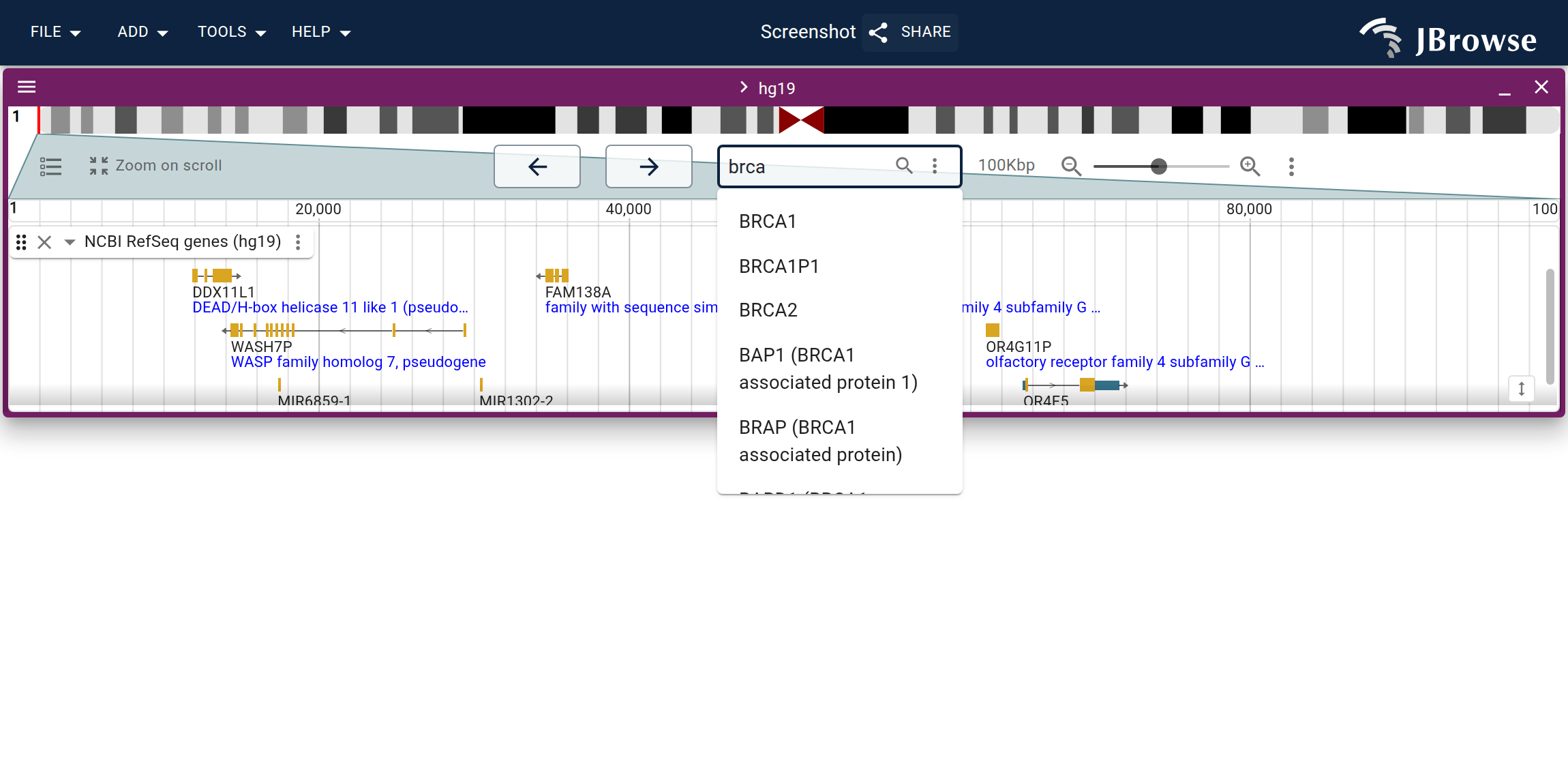 When configured, you can search for gene names or other features via the location search box.