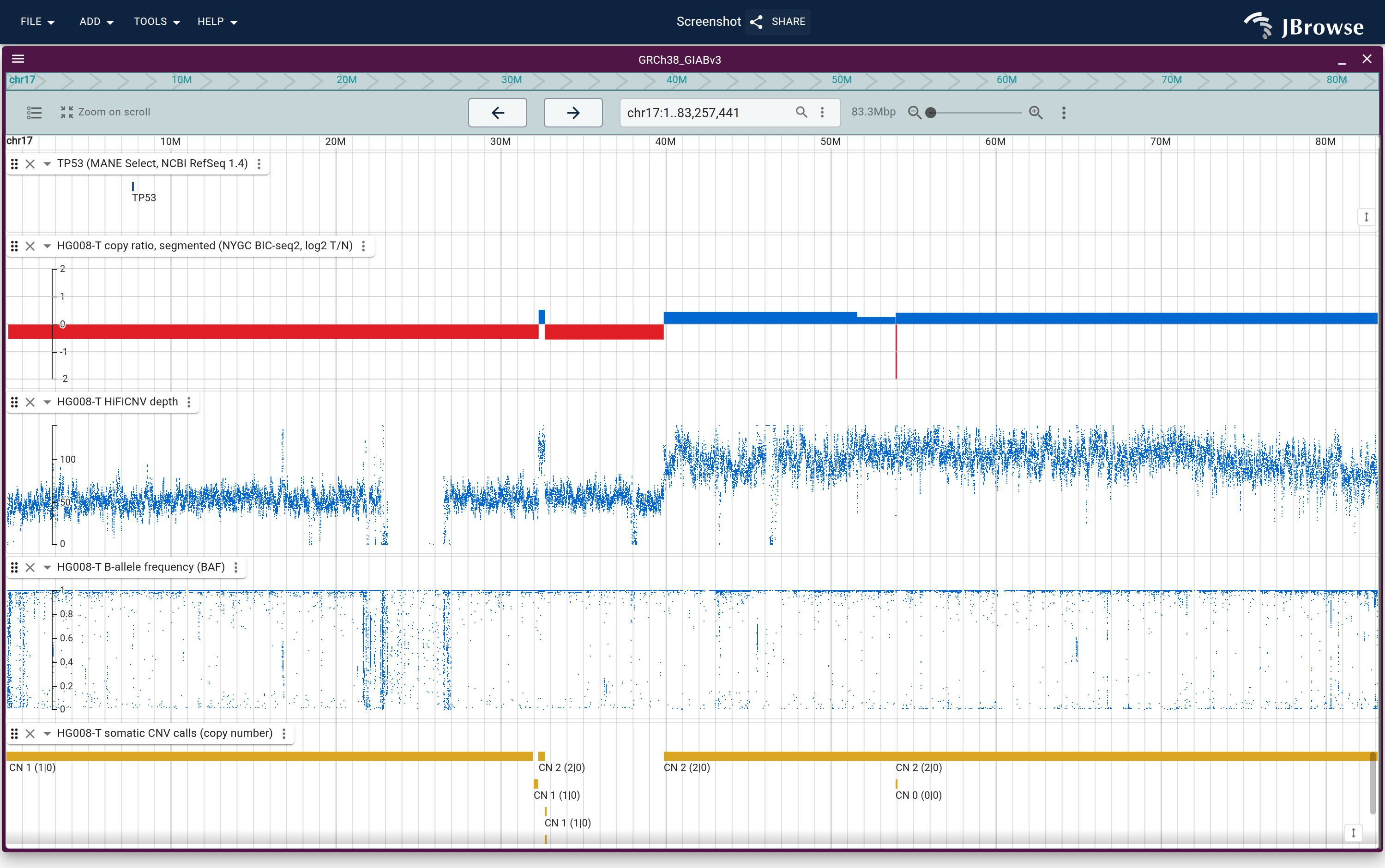 Chromosome 17: the segmented copy ratio, the HiFiCNV depth, the BAF and the benchmark CNV calls. The p-arm is a single-copy loss with LOH; the q-arm is copy-neutral LOH, flat in both copy-number lanes and still split in the BAF.