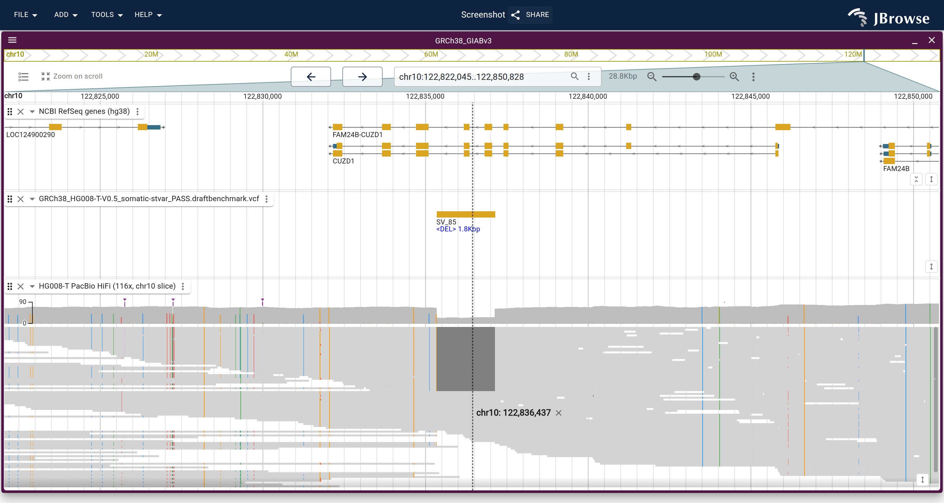 Tumor PacBio HiFi reads at compact height, sorted by base pair with the deletion centered, over the gene annotations. The deletion removes two CUZD1 exons and is heterozygous.