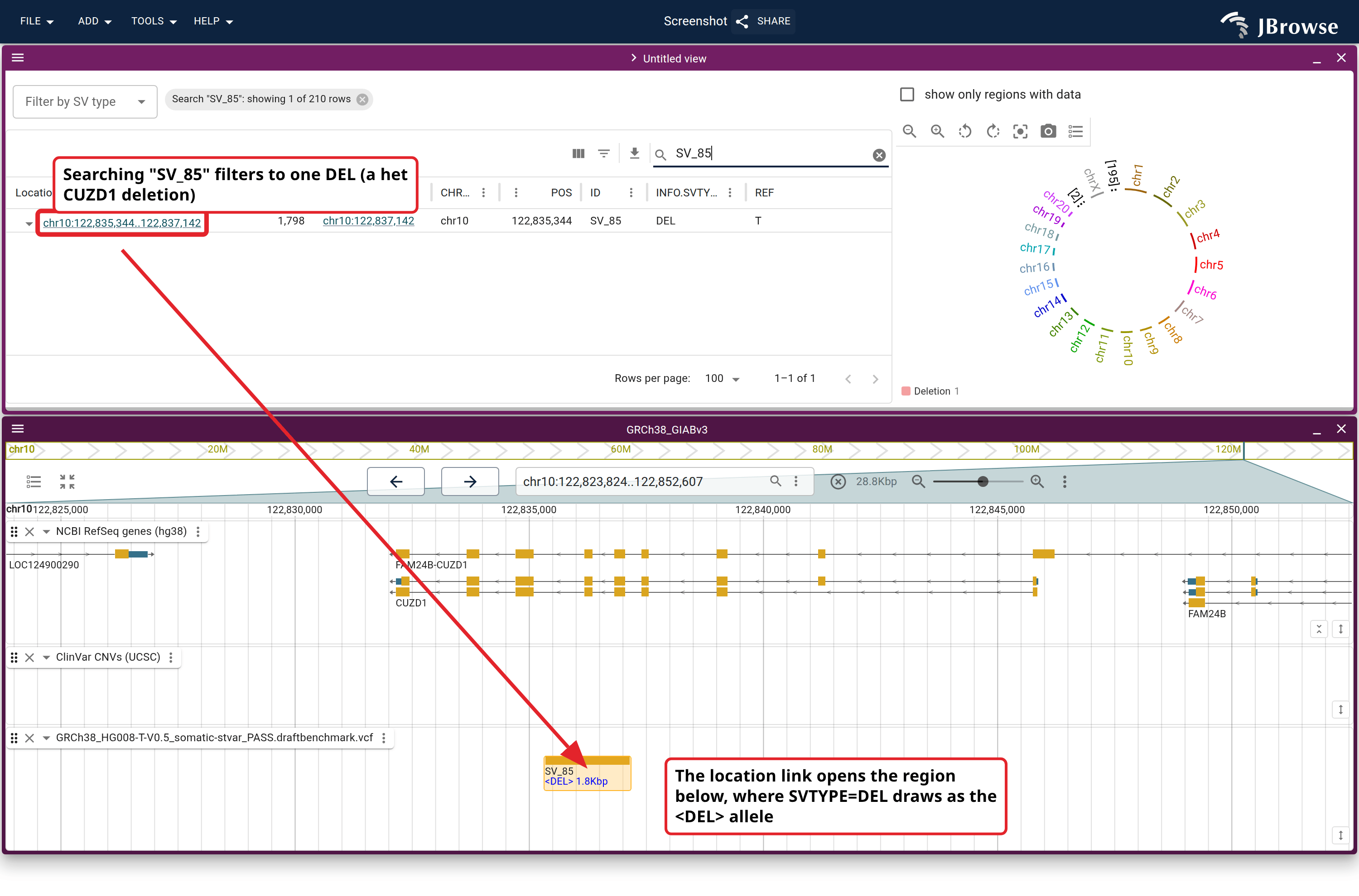 The SV inspector after searching for SV_85, a heterozygous CUZD1 deletion, and the linear genome view its location link opens: the <DEL> ALT allele over the ClinVar CNV and NCBI RefSeq gene lanes.