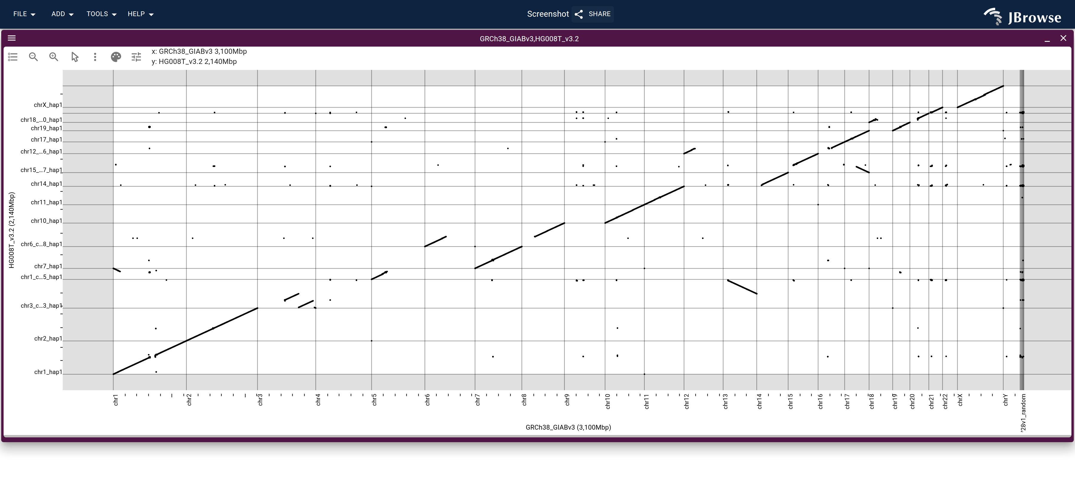 Haplotype 1 of HG008-T v3.2 (y) against GRCh38 chromosomes (x). Each scaffold is one diagonal segment; scaffolds named for two chromosomes (chr3_chr13_hap1) break into two, which is the translocation.