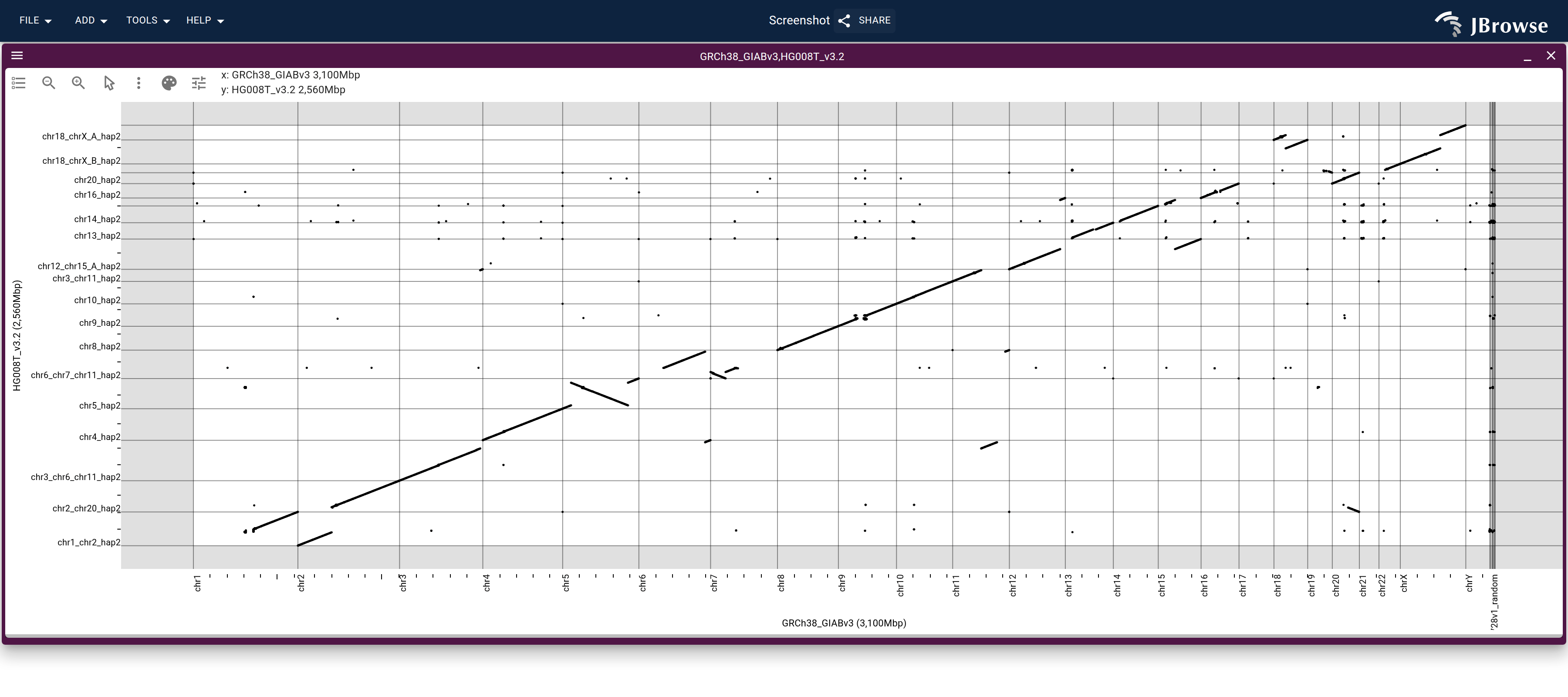 The same plot for haplotype 2. chr13_hap2 carries a single clean diagonal against chr13, the untranslocated counterpart to hap1's fused scaffold.