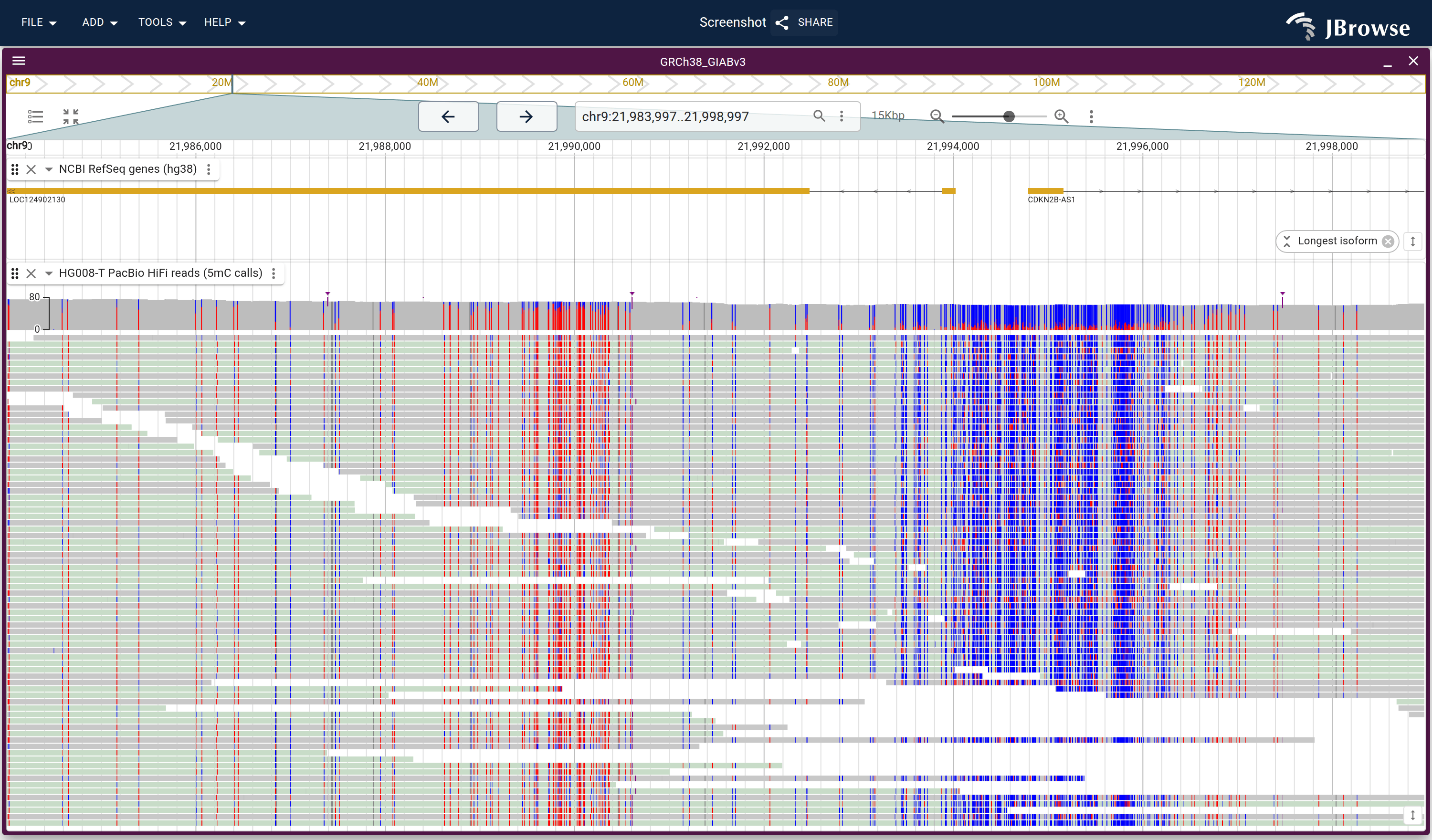 Tumor PacBio HiFi reads at the CDKN2B-AS1 end of the CDKN2A locus, over the NCBI RefSeq gene lane, colored by base modification with unmodified cytosines filled in. Neighboring CpG-dense blocks come out in opposite states, one of them at the CDKN2B-AS1 transcription start.