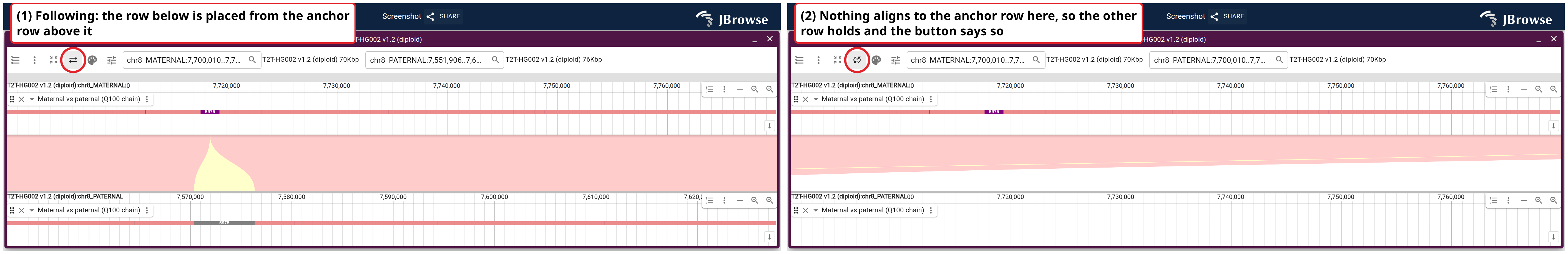The follow button in both of its forms, on the two haplotypes of T2T-HG002 with the chain blocks drawn on each panel's own coordinates. Left, the row below is placed from the row above. Right, the anchor row sits in a gap between two chains, so it has nothing to place the other row from and the other row keeps the window it had.