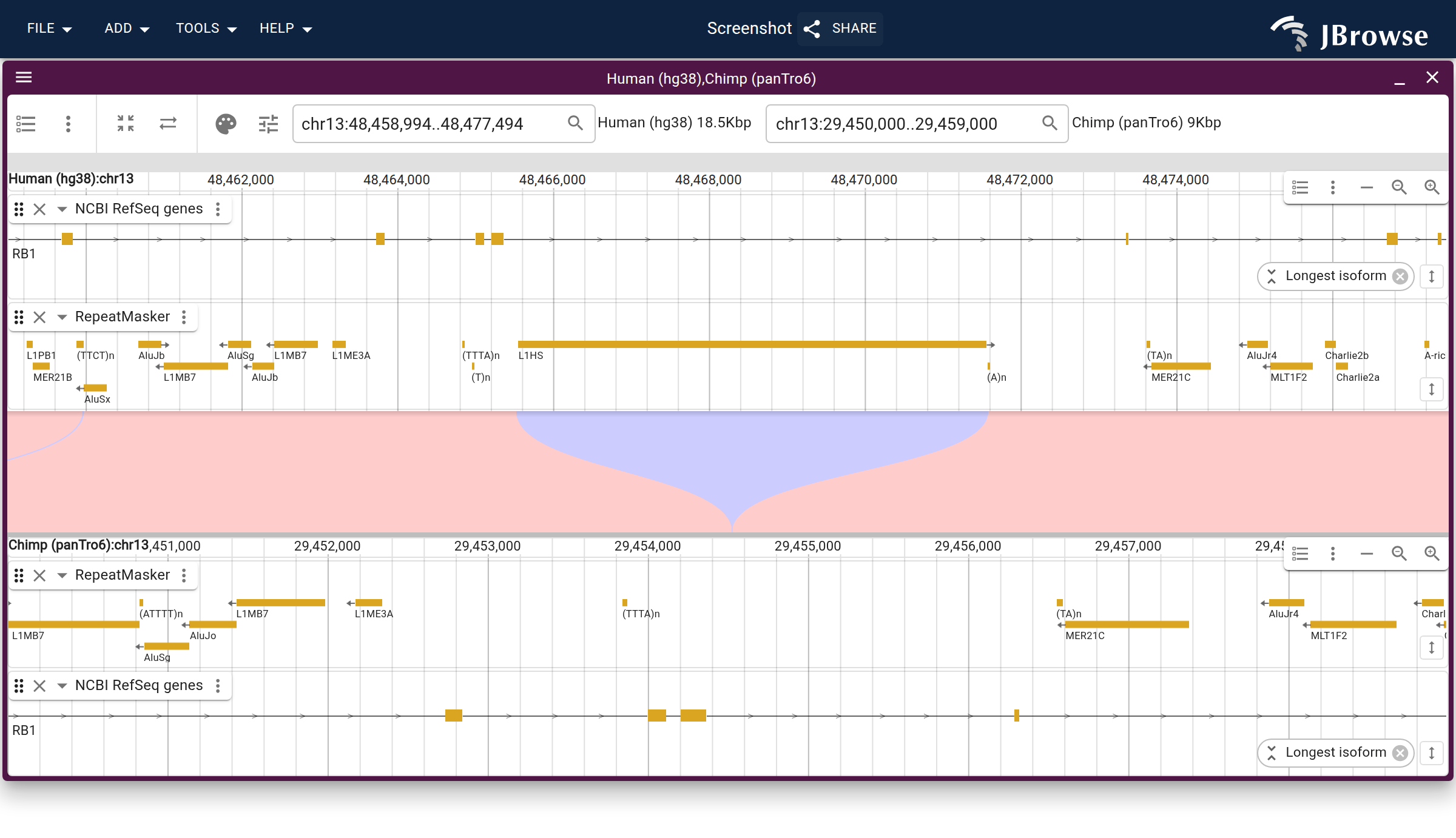 Human (hg38) vs chimp (panTro6) across an RB1 intron, from a UCSC liftOver chain with RepeatMasker on both genomes. A full-length L1HS present in human is absent at the orthologous chimp intron, which the 'Colored indels' mode paints as a wedge in the ribbon.
