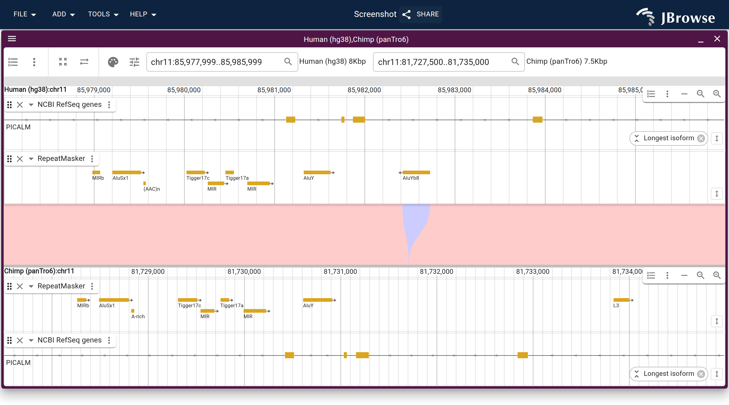 A human-specific AluYb8 (~0.3 kb) in PICALM, inserted downstream of a conserved AluY present in both species. A small insertion still reads clearly as an indel.