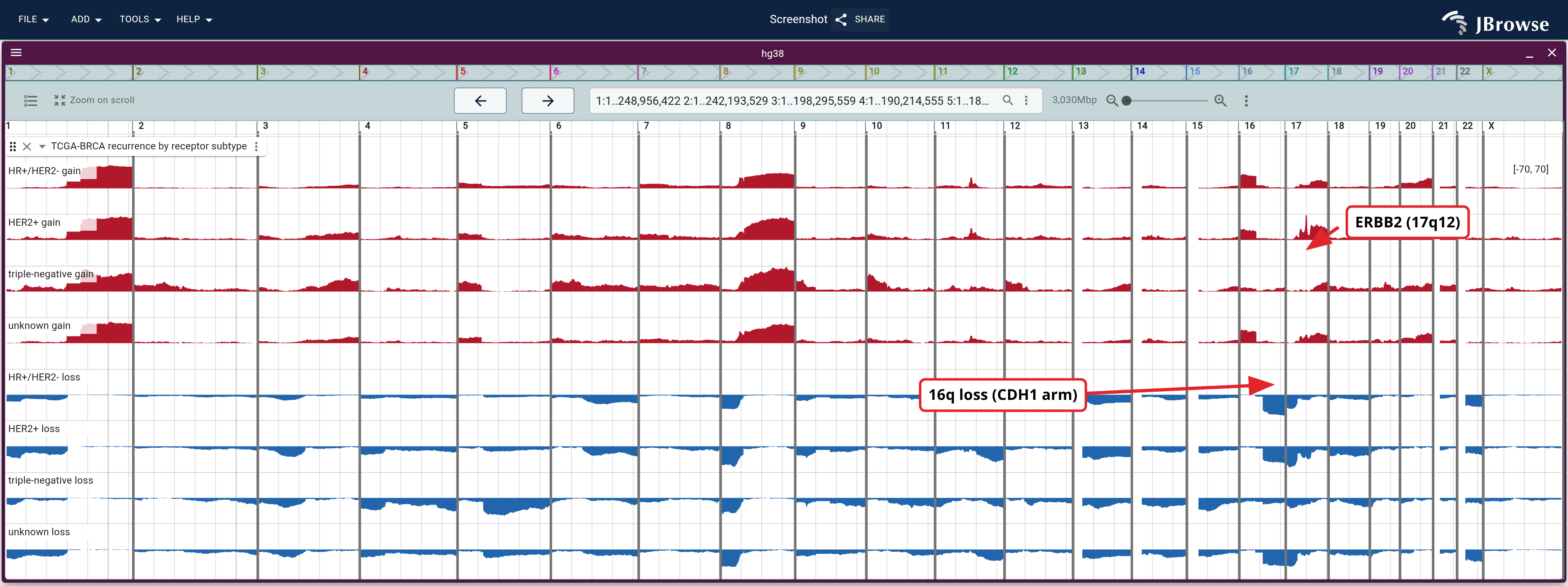 Gain and loss frequency per 100 kb across the 22 autosomes and chrX, tallied separately for each receptor subtype. 17q gain is confined to the HER2+ row, 5q loss and 10p gain to the triple-negative row; 1q and 8q gain are in every row.