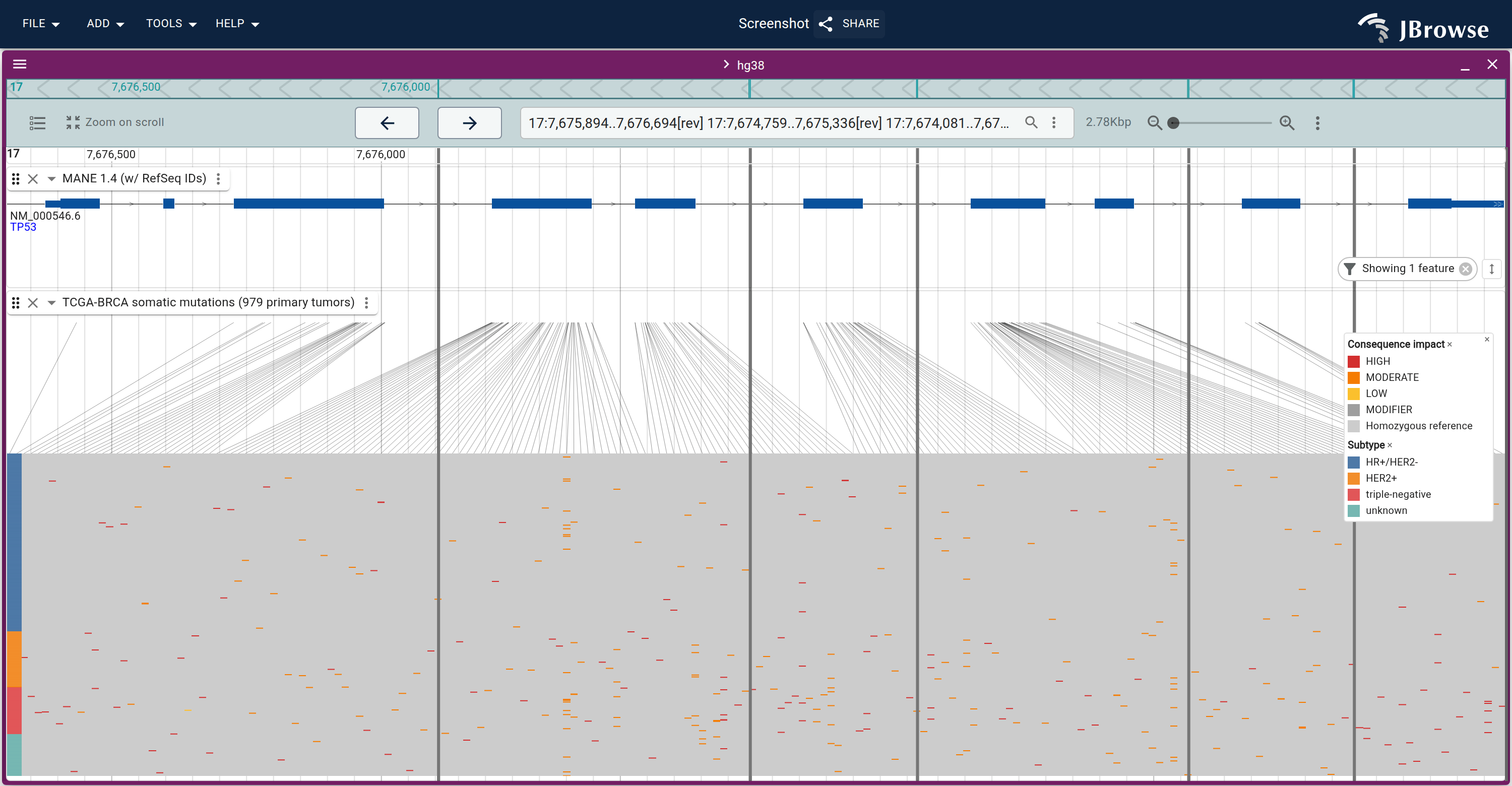 TP53's exons with rows grouped and colored by receptor subtype, introns collapsed. The triple-negative band is visibly the dense one and the much larger HR+/HER2- band above it is sparse, with the calls spread the length of the coding sequence.