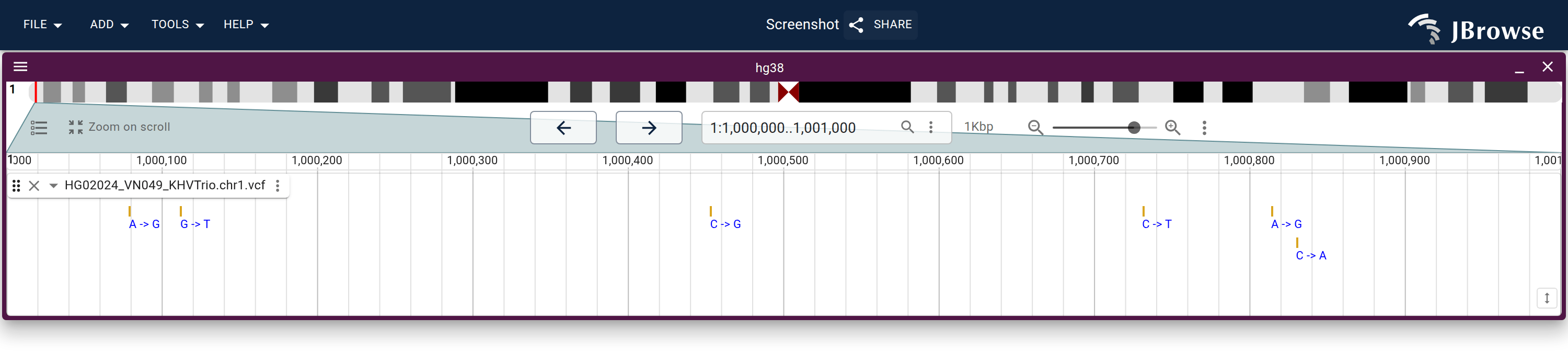 The VCF on initial load, in the default display: one orange box per variant.