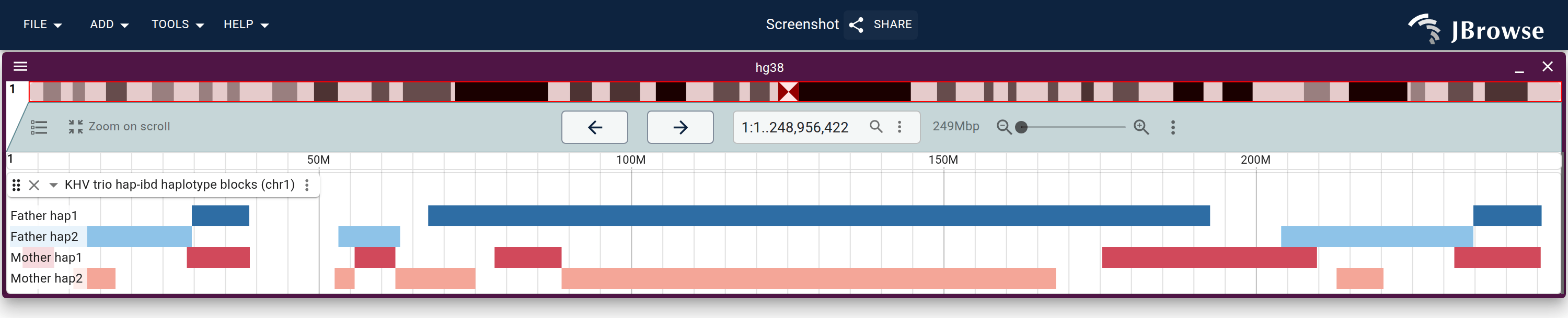 hap-ibd inheritance blocks in the multi-row feature display. Blue rows are father HG02026's two haplotypes, red rows are mother HG02025's. Each crossover is a spot where a painted block steps from one row to its partner.