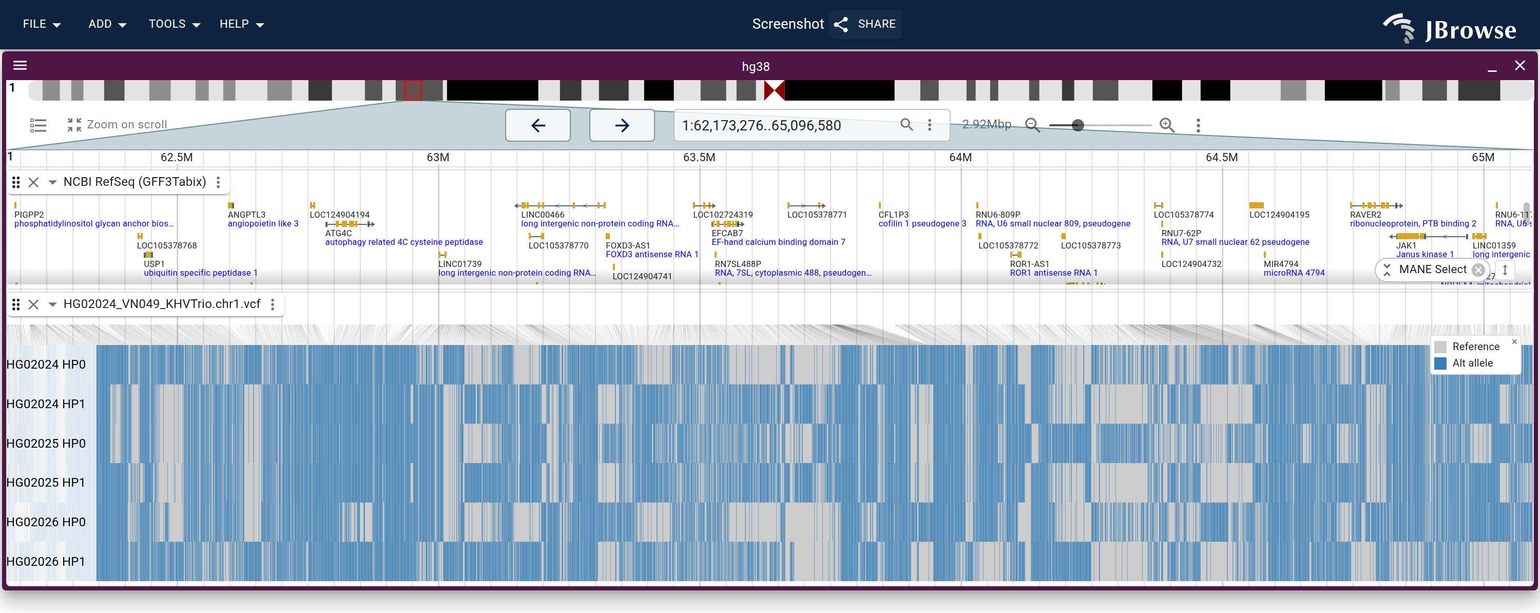 The phased mode with no markup added. Rows are child hap1/hap2, mother hap1/hap2, father hap1/hap2, top to bottom, under the RefSeq genes, with connector lines tying each matrix column back to the position it came from.