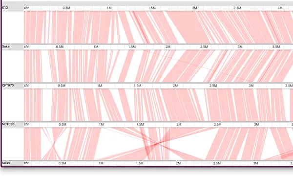 Preview of Synteny visualization (all-vs-all minimap2)