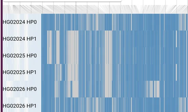 Preview of Phased trio analysis (1000 Genomes)
