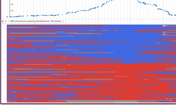 Preview of QTL mapping (BXD mice)