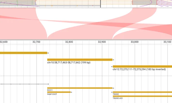 Preview of Complex rearrangements and derivative alleles