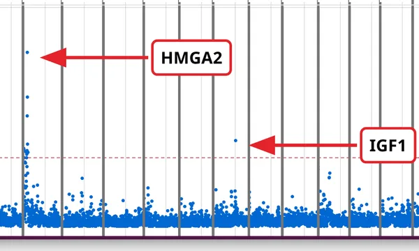 Preview of A selected haplotype (Dog10K)