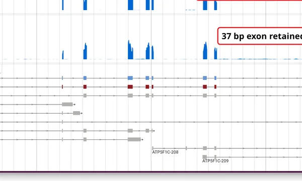 Preview of Differential transcript usage