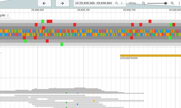 Preview of Embedding JBrowse