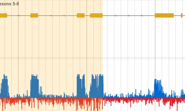 Preview of Basic usage of genomes.jbrowse.org