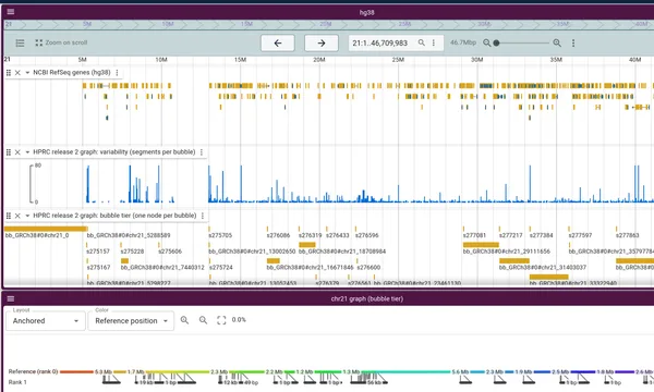 Preview of The HPRC pangenome on genomes.jbrowse.org