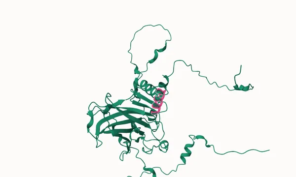 Preview of Proteins on genomes.jbrowse.org