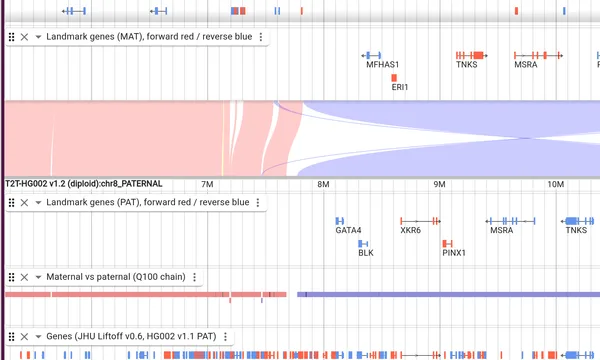 Preview of Comparing one genome's two haplotypes (T2T-HG002)