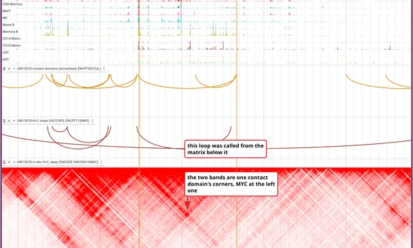 Preview of Structural variants from Hi-C