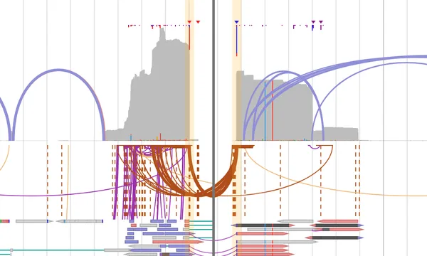 Preview of Gene fusion calls and the DNA behind them