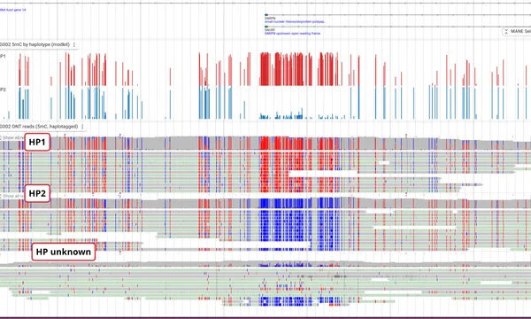 Preview of Methylation (long-read)