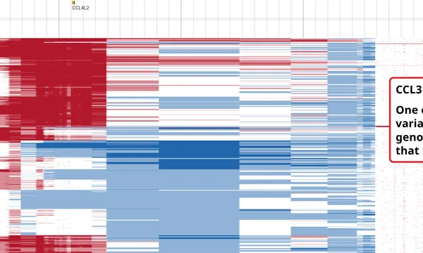Preview of CNV across a population (1000 Genomes)