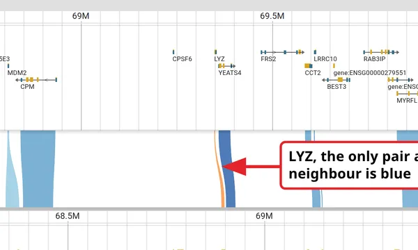 Preview of Selection pressure between two genomes (dN/dS)