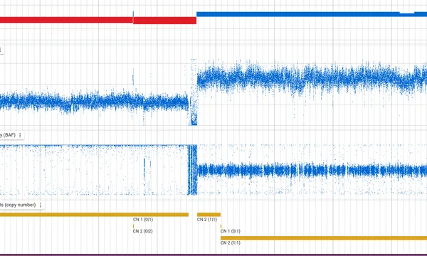 Preview of Structural variants (Cancer GIAB)
