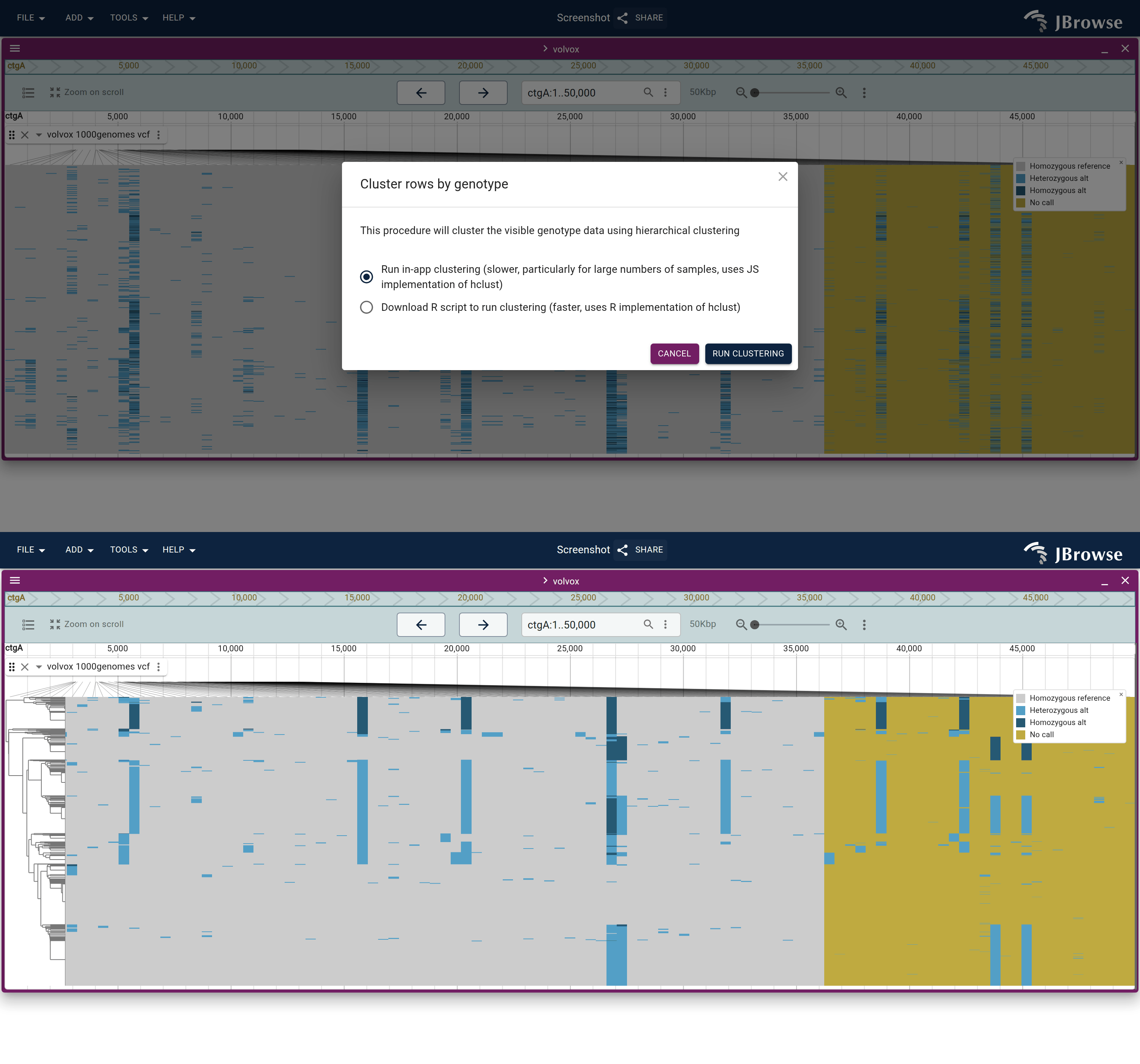 Clustering a multi-sample variant track. Top: the 'Cluster rows by genotype' dialog. Bottom: the rows reordered by genotype similarity, with a dendrogram on the left.