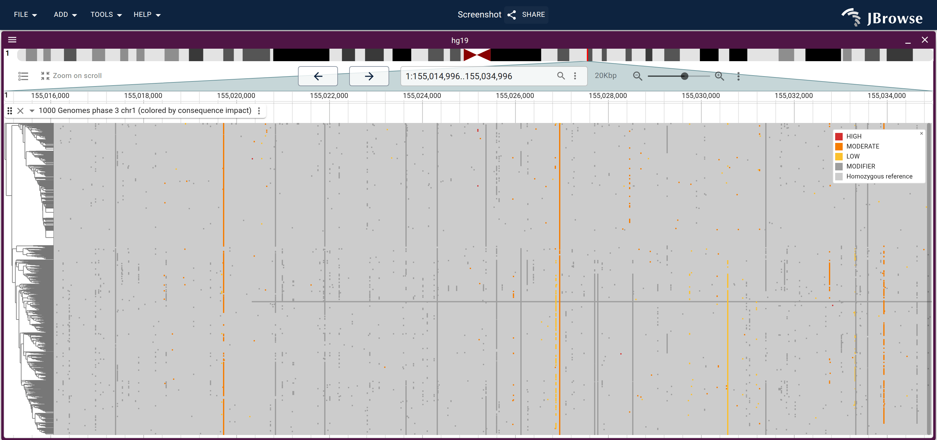 1000 Genomes phase 3 chr1 genotypes colored by consequence impact from SnpEff annotations: red is stop-gained or splice-site, orange missense, yellow synonymous, and grey the intronic and intergenic majority.