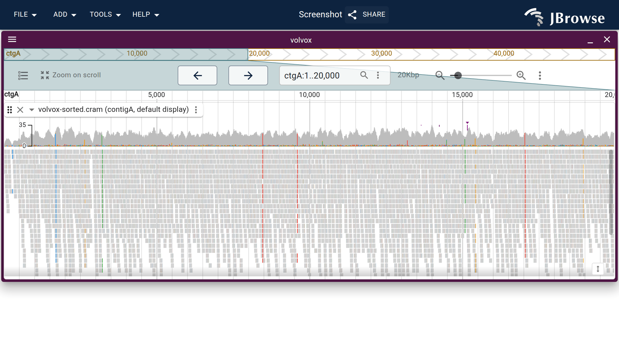 JBrowse 2 linear genome view with alignments track