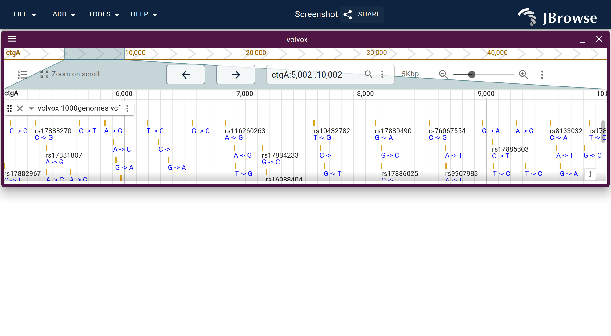 JBrowse 2 linear genome view with variant track