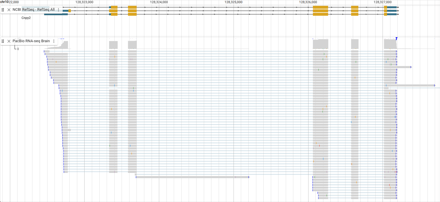RNA-seq for the Cnpy2 gene